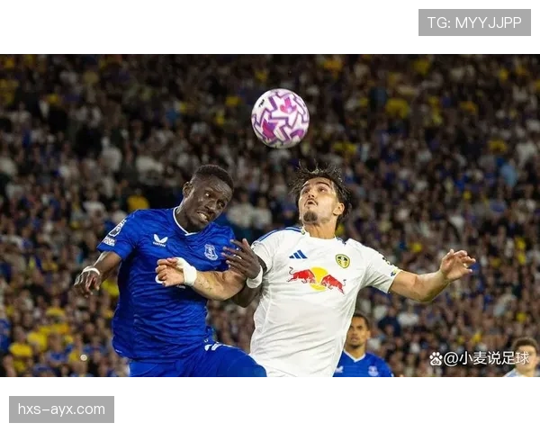 埃弗顿战术体系深度解析：迎新挑战，重塑竞争力