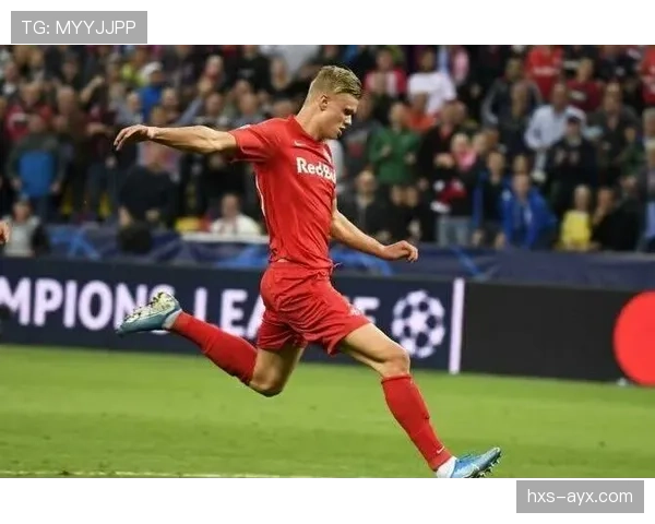 哈兰德与布吕讷青训背景及成长路径分析