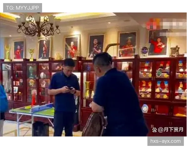 陈梦今天又买了多少豪宅？我绝对算不过来了！